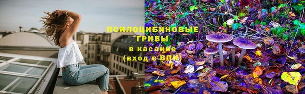 ГАЛЛЮЦИНОГЕННЫЕ ГРИБЫ Надым