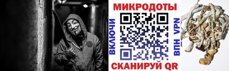 Галлюциногенные грибы MAGIC MUSHROOMS  наркота  Шагонар 